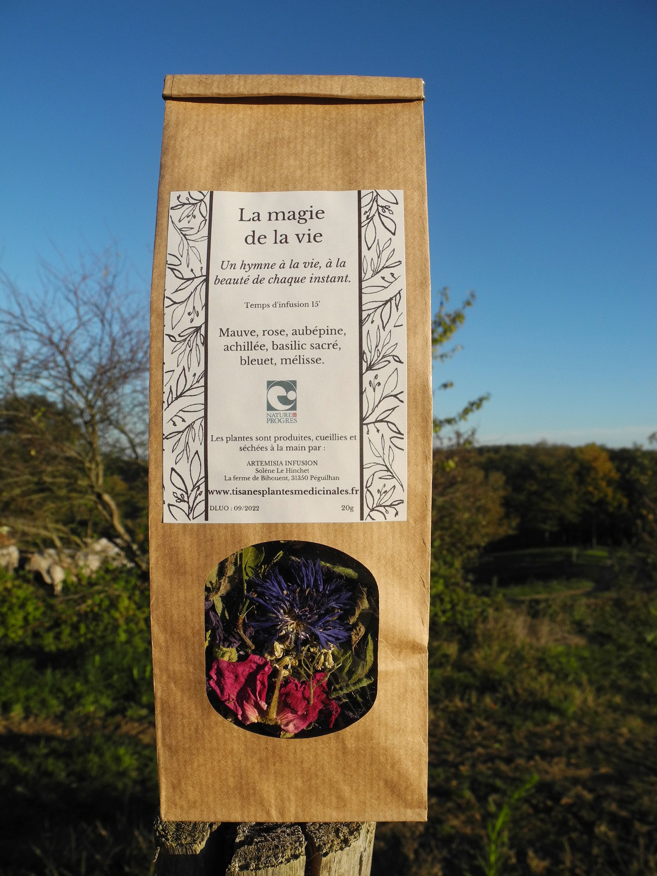 Tisane La Magie de La Vie Infusion Cadeau Plaisir