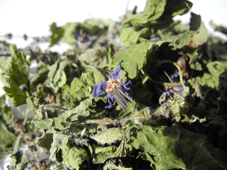 Tisane Présence et persévérance infusion plaisir image 4