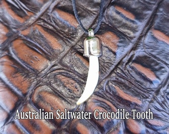 Genuine Handmade Australian Saltwater Horn back  Crocodile 3.cm Tooth Necklace With CITES Registered  Product ID Tag.