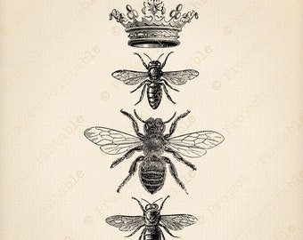 Bee & Crown Vintage Style Shabby Chic Graphics - Instant Download Printable - Antique Clipart- Bee clipart Clip Art