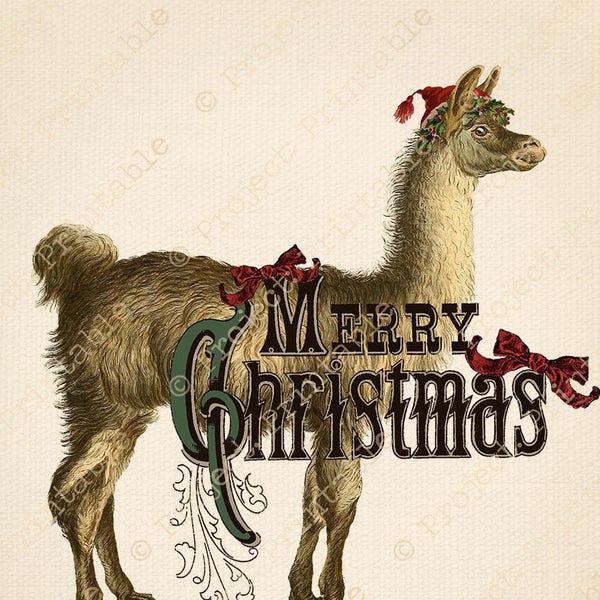 Instant Download Printable CHRISTMAS Llama COLOR Vintage Style Quirky Antique graphics clipart Holiday Clip Art Iron On