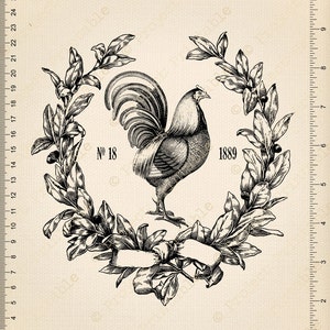 Vintage Cockerel Chicken Rooster Graphics Instant Download Fabric Transfer Printable Digital Image clipart iron on pillows, burlap image 3
