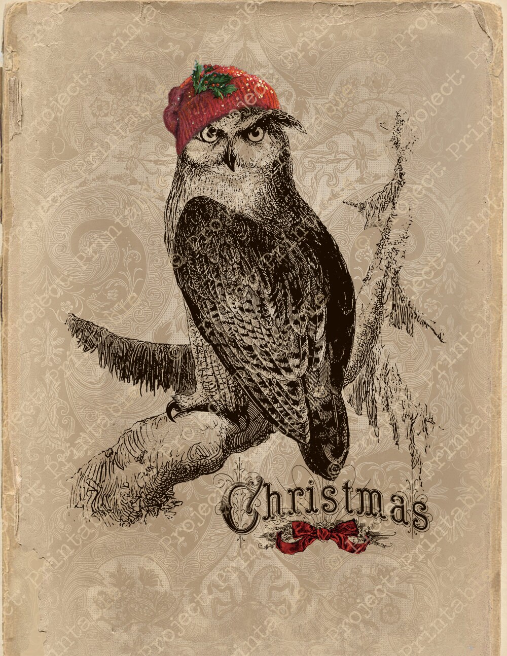 Instant Download Printable CHRISTMAS OWL Holly COLOR Fabric - Etsy