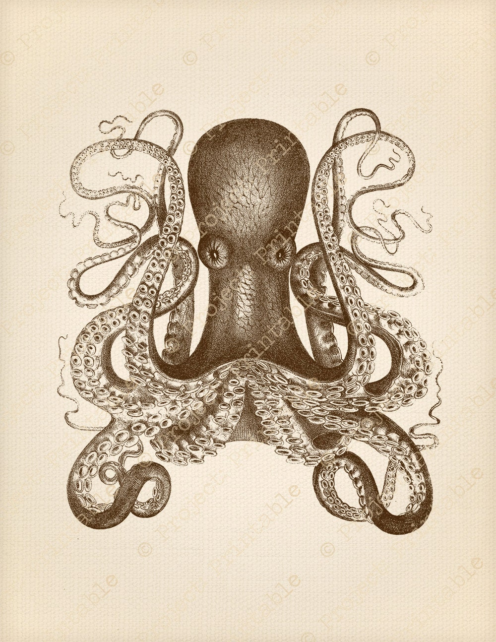 Instant Download Printable OCTOPUS Digital Clip Art - Etsy