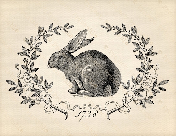 Printable Digital Graphics Vintage Bunny HARE RABBIT Clip Etsy
