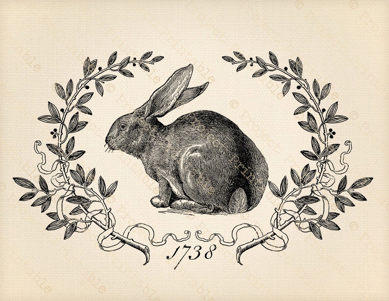 Printable Digital Graphics Vintage Bunny HARE RABBIT clip Etsy