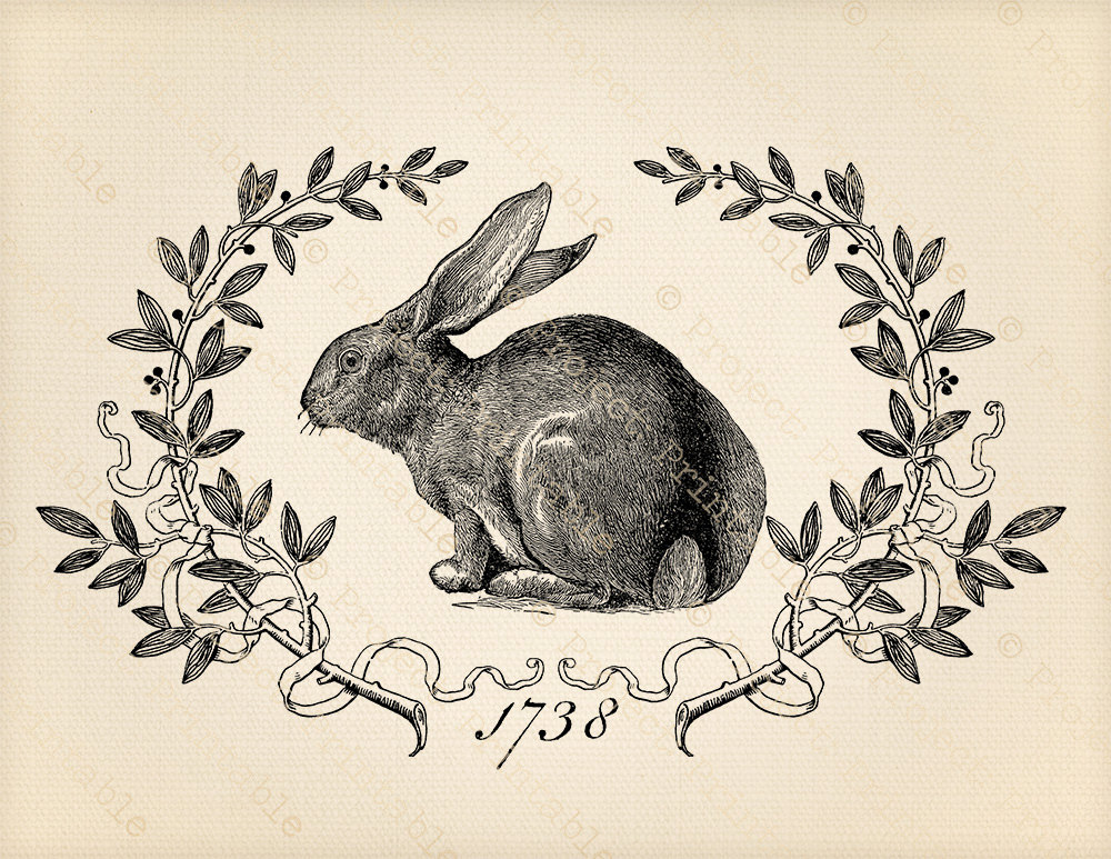 printable-digital-graphics-vintage-bunny-hare-rabbit-clip-etsy