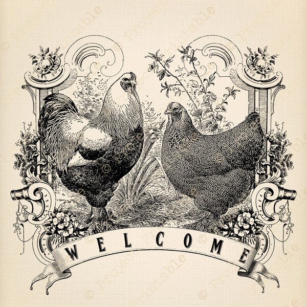 Sofortiger Download druckbare Huhn willkommen Bauernhof Hahn Henne Eisen auf Stoff Image Transfer Land Küche Druck digitale Grafiken clipart
