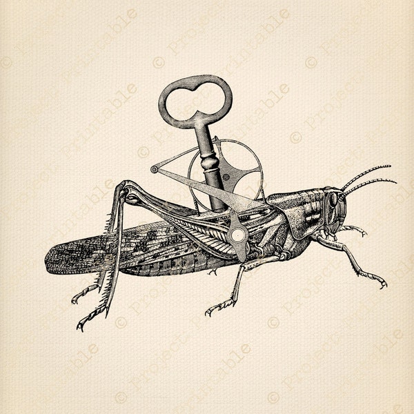 Clockwork STEAMPUNK INSECT Grasshopper Instant Download Printable Graphics Clipart  Digital Image Fabric Transfer to iron on t-shirt Geekery