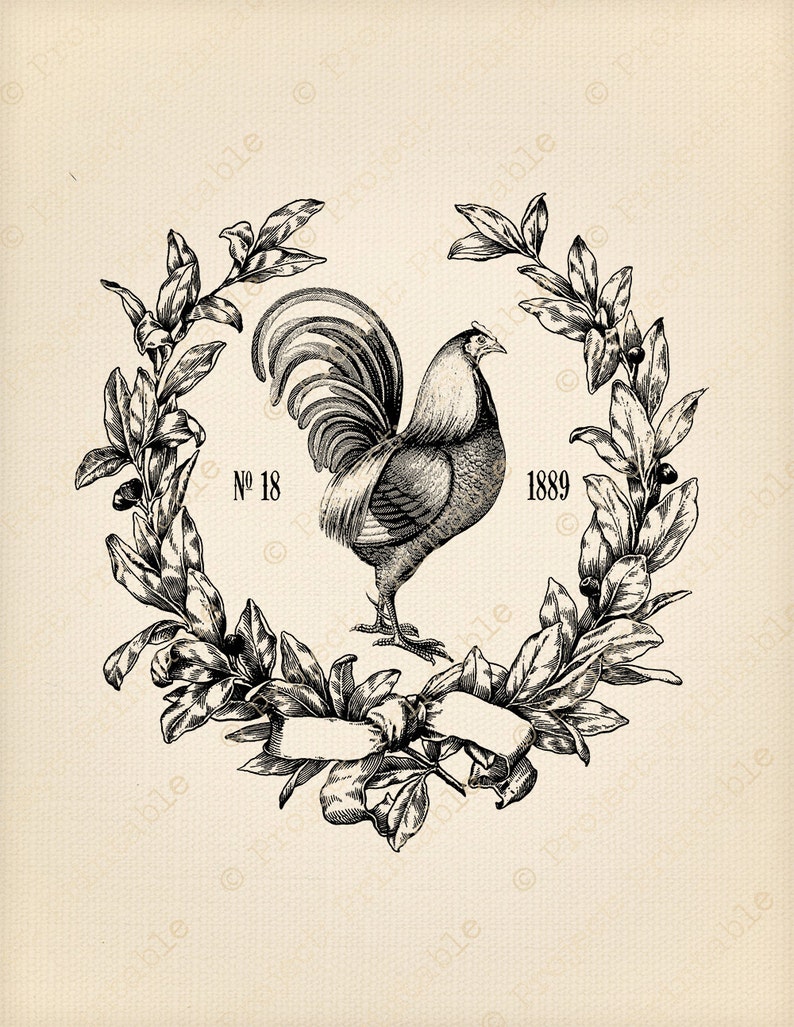 Vintage Cockerel Chicken Rooster Graphics Instant Download Fabric Transfer Printable Digital Image clipart iron on pillows, burlap image 1