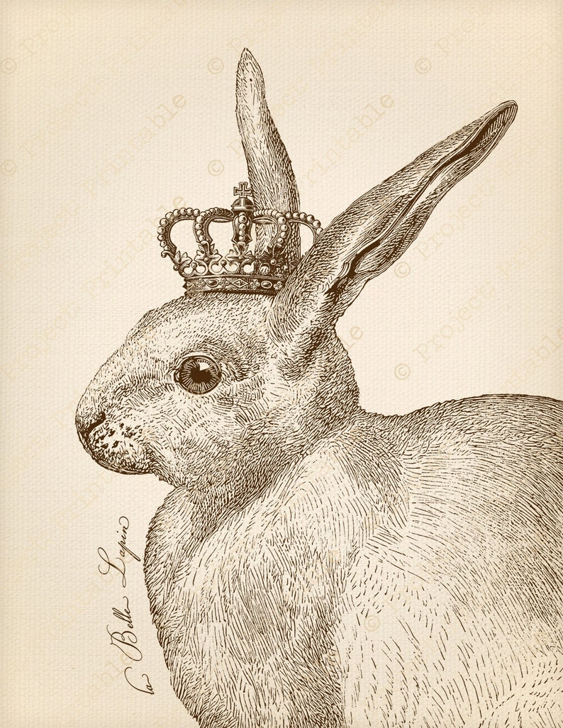 Instant Download French Vintage Rabbit With Crown Printable Etsy