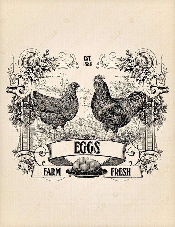 Instant Download Printable Farm Fresh Eggs Sign Chicken Etsy