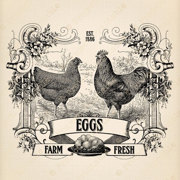 Instant Download Druckbare Farm Frische Eier Schild Huhn Hahn Henne Bügelbild Stoff Transfer Küche Druck Digital Grafik Clipart