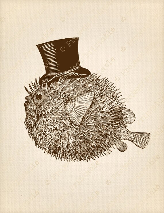 fish with hat