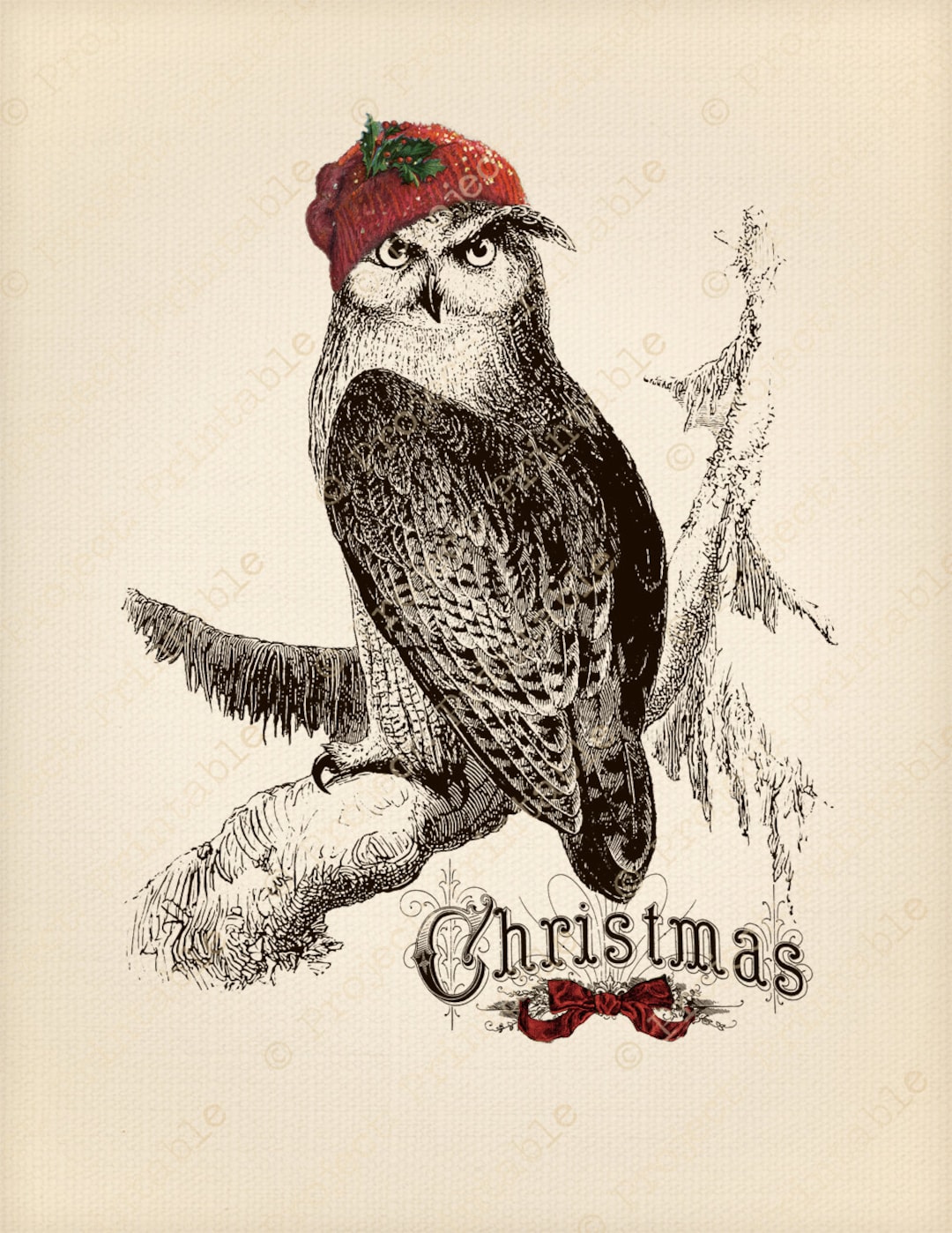 Instant Download Printable CHRISTMAS OWL Holly COLOR Fabric Image ...
