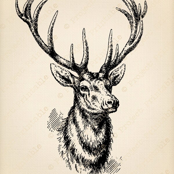 Vintage Stag Deer with Antlers - Fabric Transfer - Instant Download  - Printable Digital Graphics - clipart Image- iron on pillows cushions