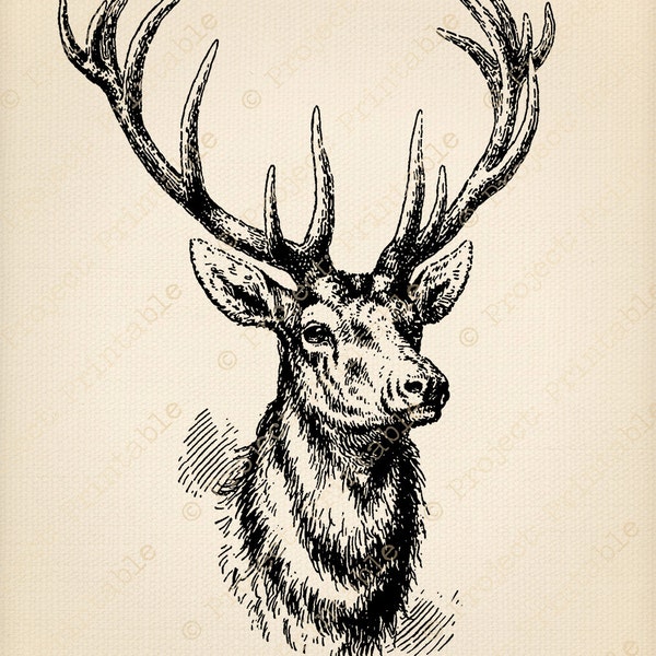 Deer Iron On - Etsy