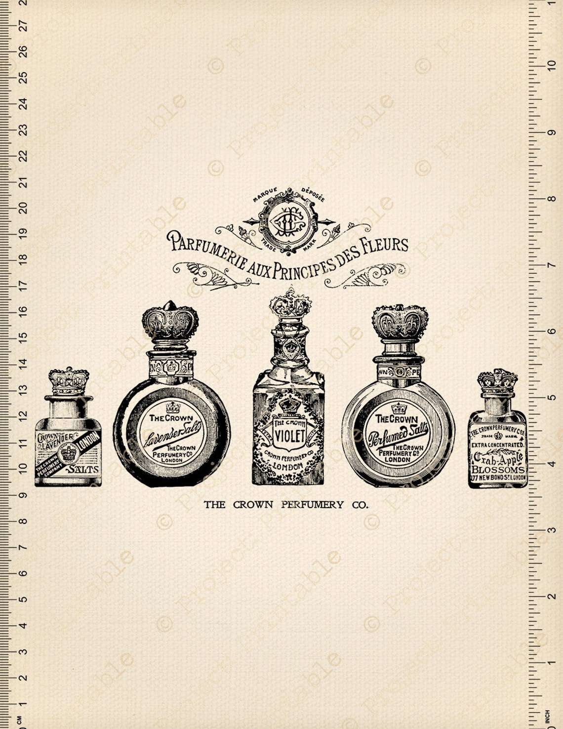 Instant Download Printable Pretty Perfume Bottles Shabby - Etsy Australia