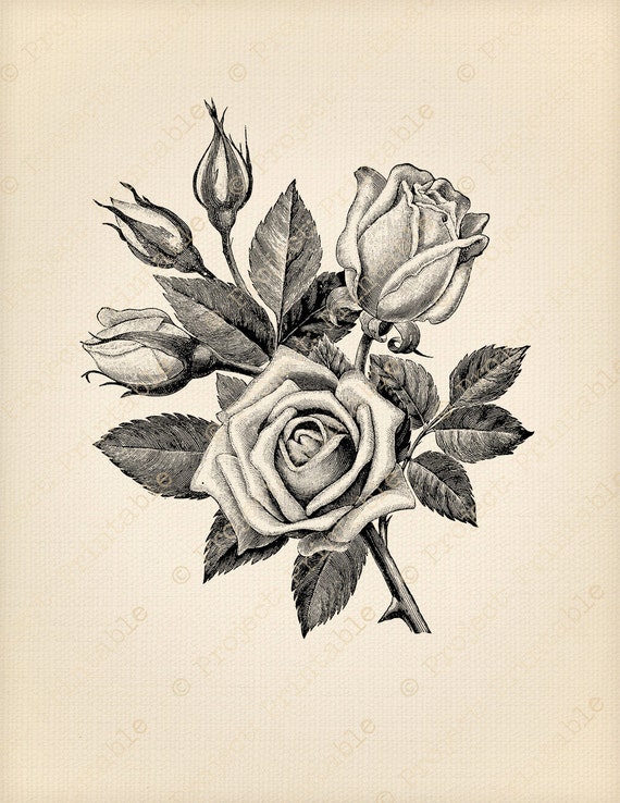 Fabric Image Transfer ROSE flower Printable Instant Etsy