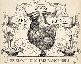 Farm Fresh Eggs Sign - Instant Download Printable - Vintage Style Antique graphics - Kitchen Farm Hen Chicken clipart Clip Art