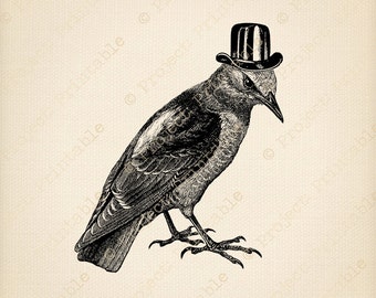 VINTAGE Crow family BIRD in HAT - Instant Download clipart - Printable Fabric Transfer - digital collage graphics, iron on burlap, pillow