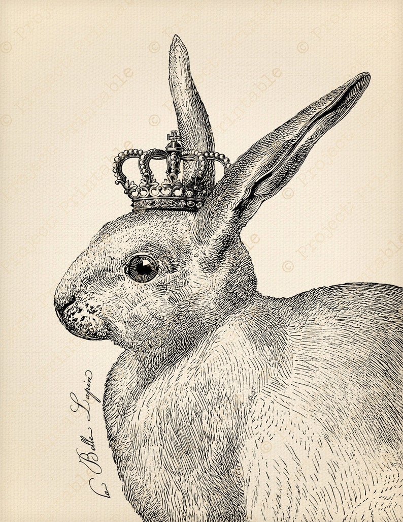 Instant Download French Vintage Rabbit with Crown  Printable image 1