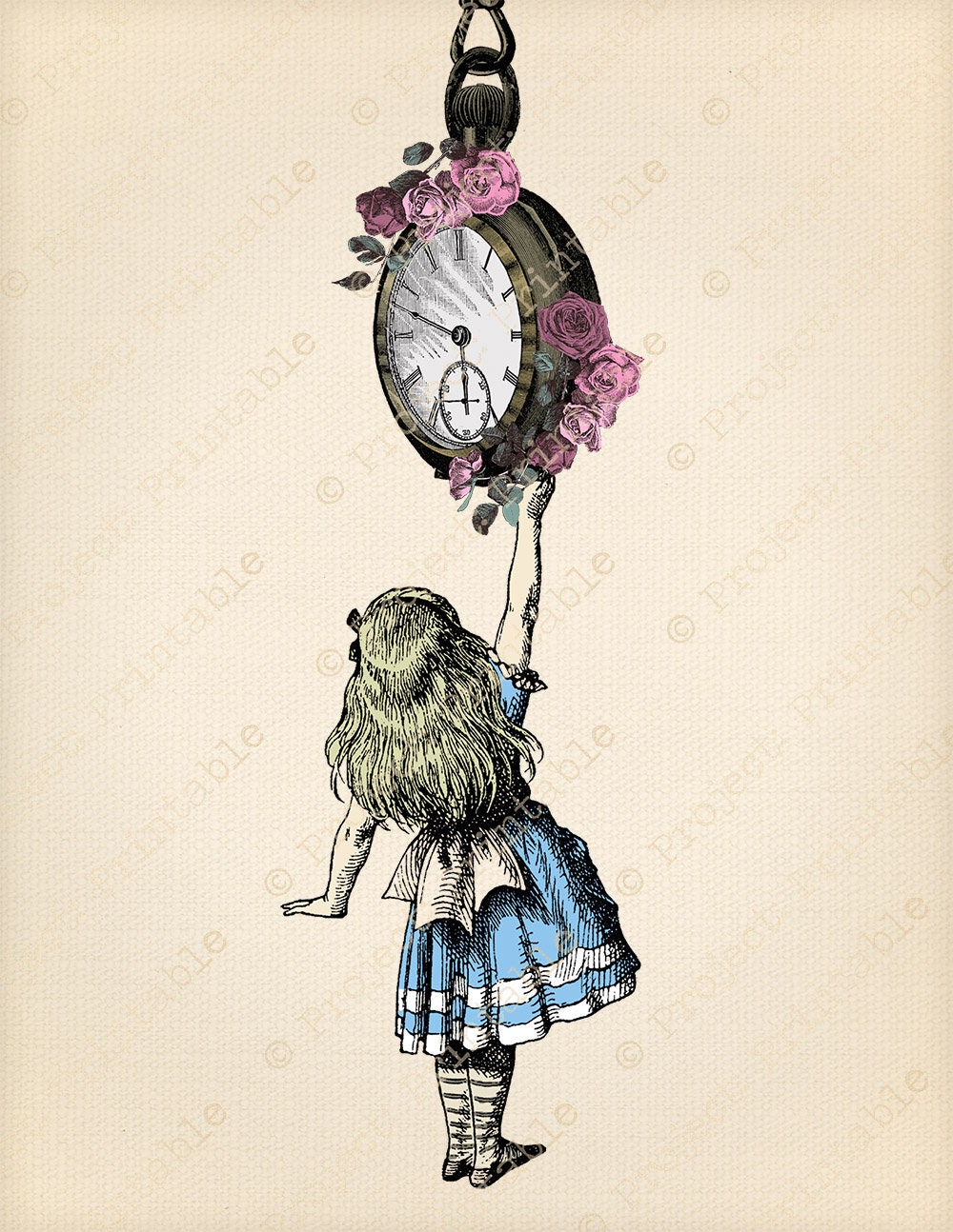 Pocket Watch Alice In Wonderland Drawing