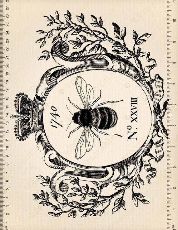 Engraving Illustration Of Honey Bee Stock Illustration - Download