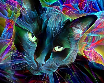 Black Cat Art, Psychedelic Art, Fractal Art, Psychedelic Cat, Black Cat Print, Black Cat Gifts, Colorful Art Prints, Crazy Cat Lady