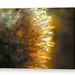 see more listings in the Canvas Gallery Wraps section