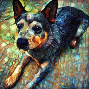 Cattle Dog Art, Blue Heeler Print, Australian Cattle Dog, Herding Dog Artwork, Pet Portraits, Dog Lover Gift