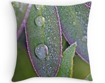 Leaf Cushion, Lupins, Gardeners Gift, Cushion for Gardener, Green Purple Pillow, Nature Decor, Rain Drops, Waterdrops,Nature Decor,Gift Idea