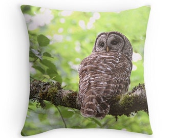 Owl Cushion, Owl Gifts, Owl Decor, Owl Pillow, Woodland Decor, Barred Owl, Nature Decor, Hoot Owl, Nature Cushion, Woodland Pillow, Raptor