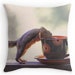 see more listings in the Throw Pillows section