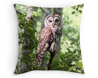 Nature Decor, Owl Pillow, Woodland Pillow, Bird Pillow,  Owl Decor, Owl Cushion, Barred Owl, Owl Throw Pillow, Wildlife Cushion, Bird Decor