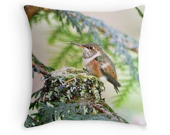 Bird Decor, Hummingbird Pillow, Hummingbird Cushion, Nature Throw Pillow, Wildlife Cushion, Baby Animal Decor, Baby Bird, Cute Cushions