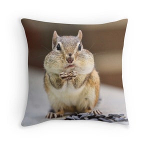 Chipmunk Pillow, Funny Cushion, Funny Pillow, Cute Animals, Chipmunk Cushion, Funny Animal, Woodland Animals, Woodland Creatures, Joke Gift