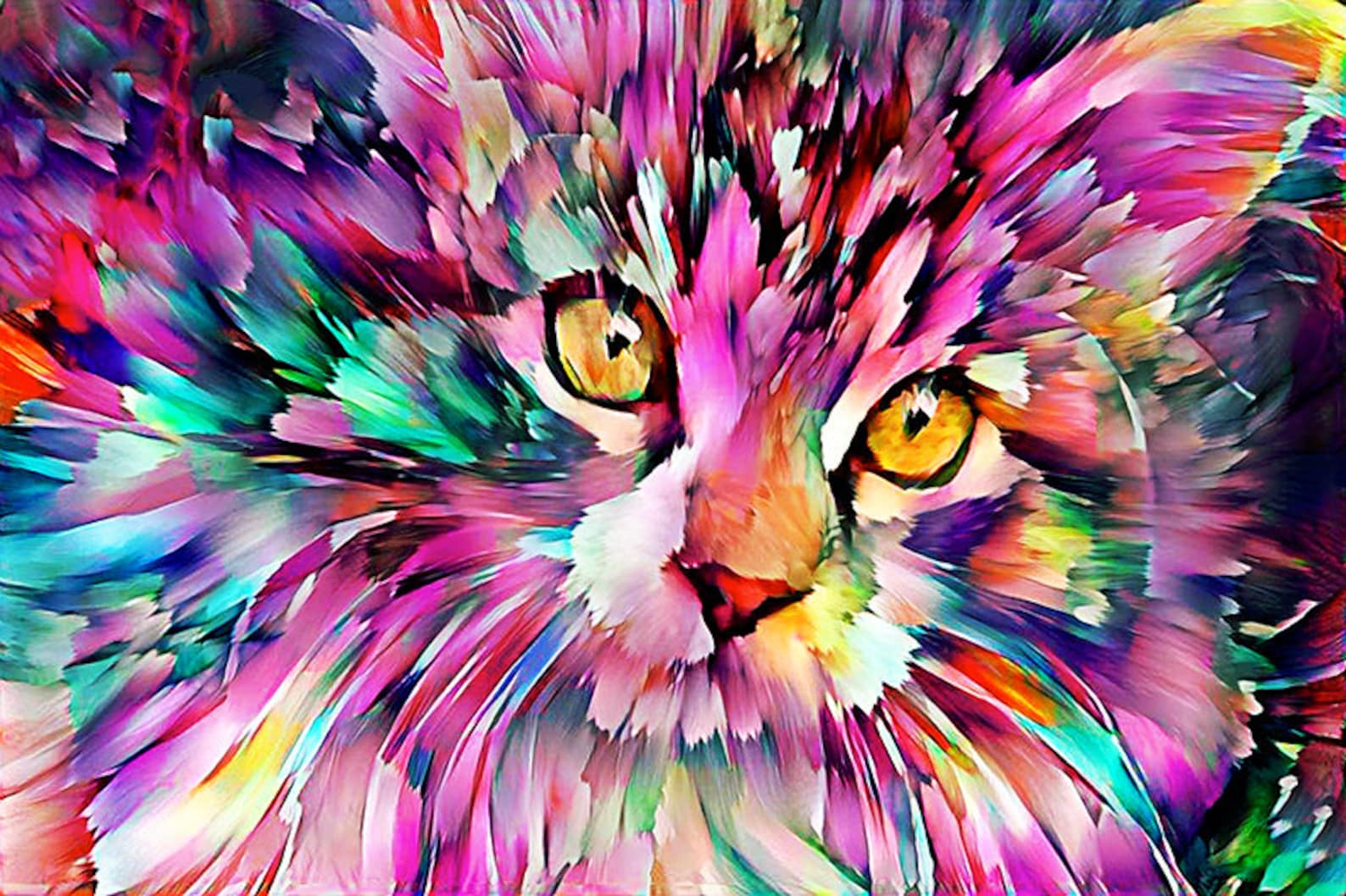 Colorful cat