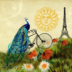 Decoración de pavo real, arte caprichoso, decoración de París, arte de bicicleta, arte de collage, decoración de habitación de niñas, arte de pared para niños, Torre Eiffel, arte de bicicleta, amapola imagen 2