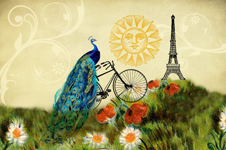 Decoración de pavo real, arte caprichoso, decoración de París, arte de bicicleta, arte de collage, decoración de habitación de niñas, arte de pared para niños, Torre Eiffel, arte de bicicleta, amapola imagen 2