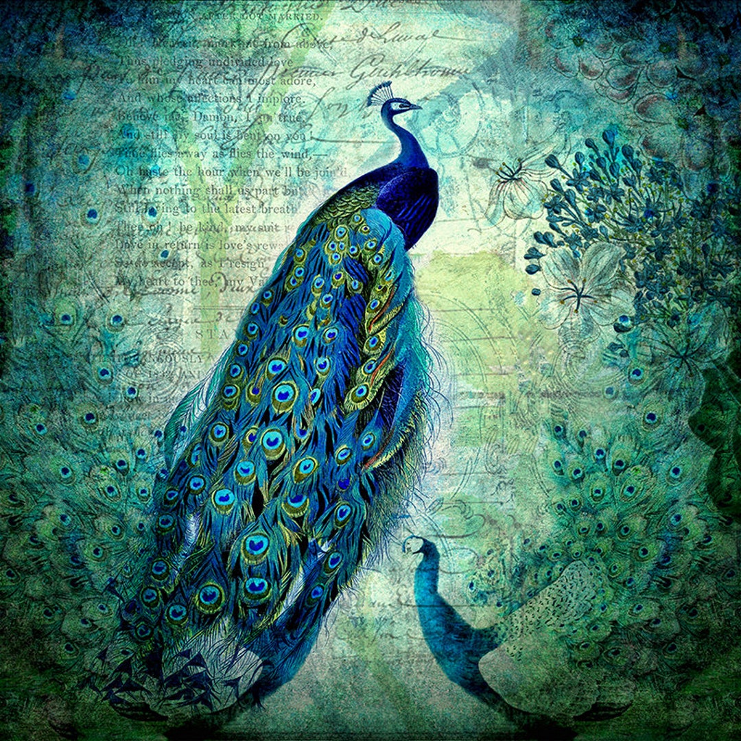 Peacock Wall Art, Peacock Decor, Vintage Art Prints, Botanical ...
