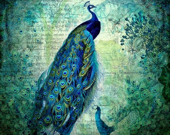 Peacock Wall Art, Peacock Decor, Vintage Art Prints, Botanical Illustration, Blue Green Art Print. Blue Green Wall Art, Vintage Bird