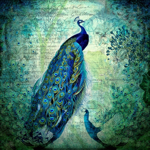 Peacock Wall Art, Peacock Decor, Vintage Art Prints, Botanical  Illustration, Blue Green Art Print. Blue Green Wall Art, Vintage Bird -   Israel