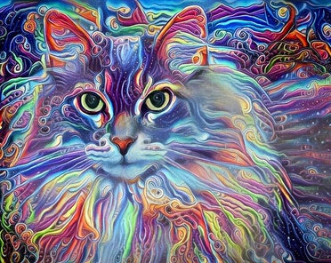 ダイヤモンドアートクラブ  Psychedelic Maine Coon Cat Psychedelic Maine Coon Cat – Diamond Art Club