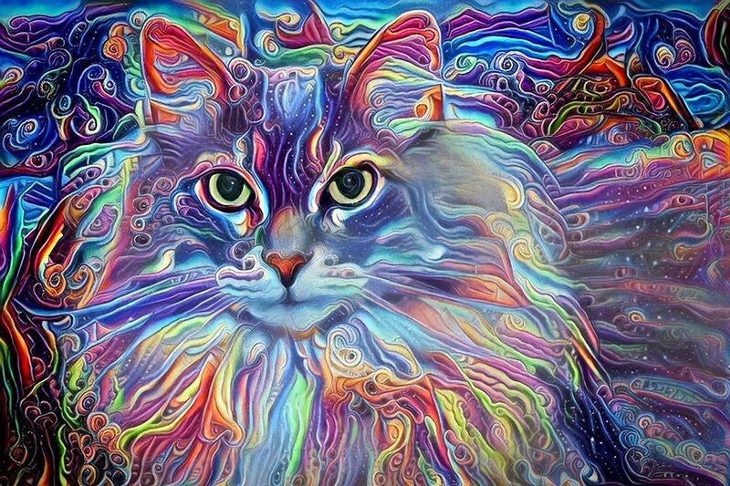 Psychedelic Maine Coon Cat – Diamond Art Club