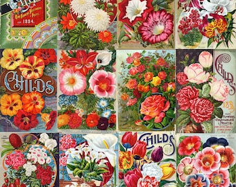 Garden Art, Garden Decor, Flower Print, Vintage Art, Flower Seeds, Gift for Gardener, Gardening Art, Vintage Illustrations, Flower Wall Art