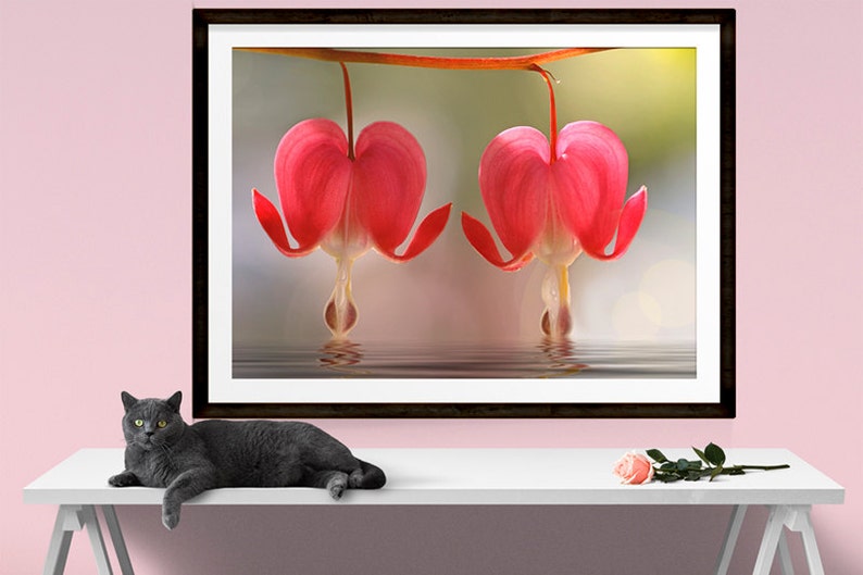 Romantic Wall Art Valentines Day Gift Bleeding Heart Floral Etsy