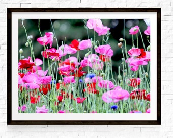 Poppies Print, Flowers Art, Wildflowers Print, Pink and Red Art, Floral Decor, Garden Art, Garden Decor, Gift for Girlfriend, Flower Photos