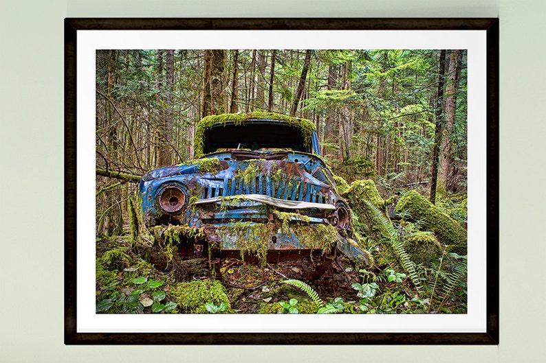 Old Cars Car Lover Gift Abandoned Antique Cars Gift for - Etsy
