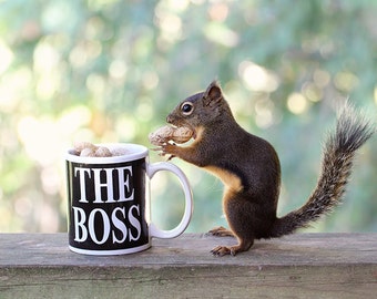 Boss Gifts, Funny Gift for Her, Squirrel Print, Gift for Boss, Funny Gift for Him, Girl Boss, Lady Boss, Boss Lady, Promotion Gift